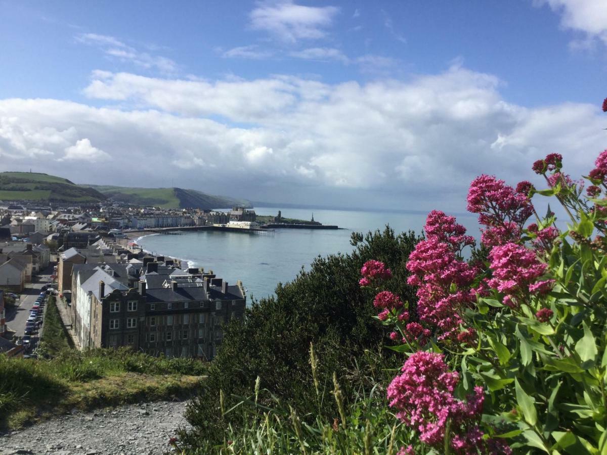 Celtic Bay Guest House Aberystwyth Eksteriør billede